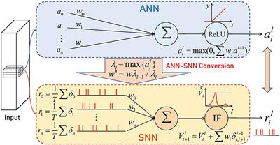 BSNN: Towards faster and better conversion of artificial neural networks to spiking neural networks with bistable neurons